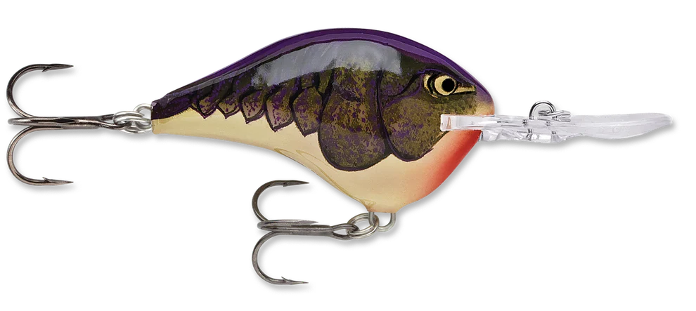 Rapala DT Series Crankbait DT10