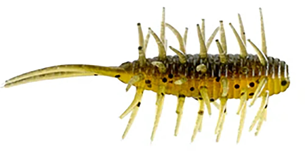 HIDEUP Coike Shrimp 25 Inch
