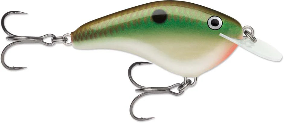 Rapala OG Slim 06 Medium Diving Flat Sided Crankbait