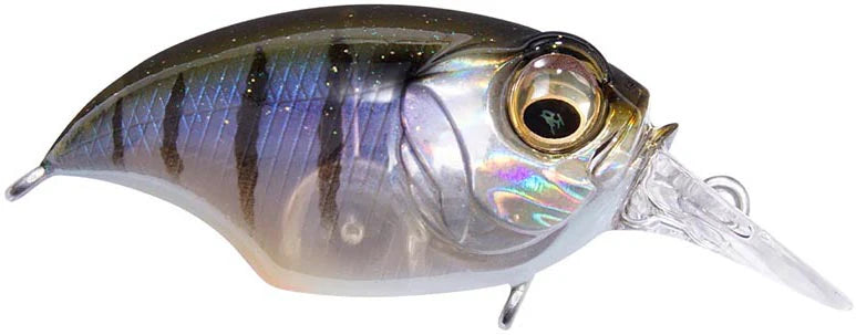Megabass Griffon SR X Shallow Diving Crankbait 175 Inches