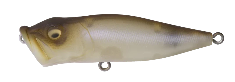 Megabass Pop X Topwater Popper