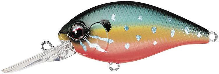 Evergreen International CR 10 Deep Diving Crankbait