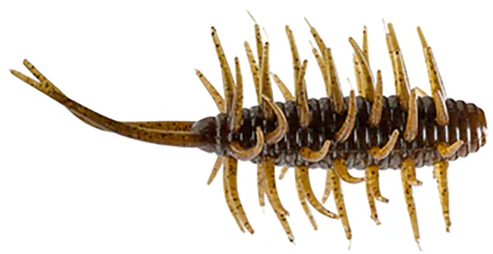 HIDEUP Coike Medium Shrimp 3 Inch