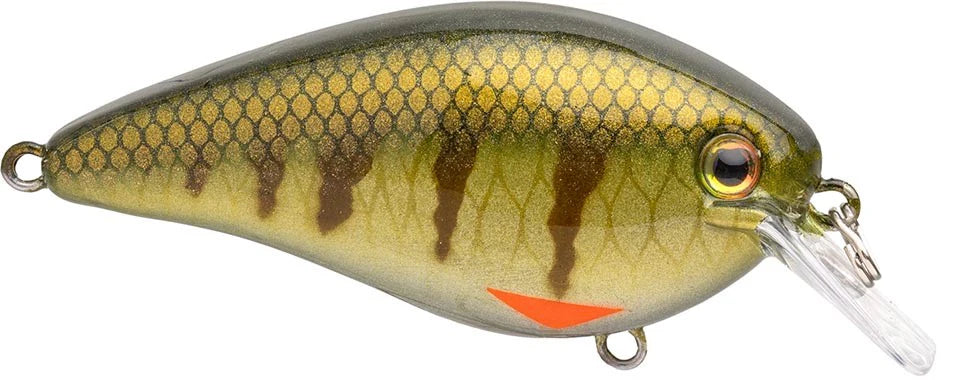 Strike King KVD Elite 25 Squarebill Crankbait 275 Inch