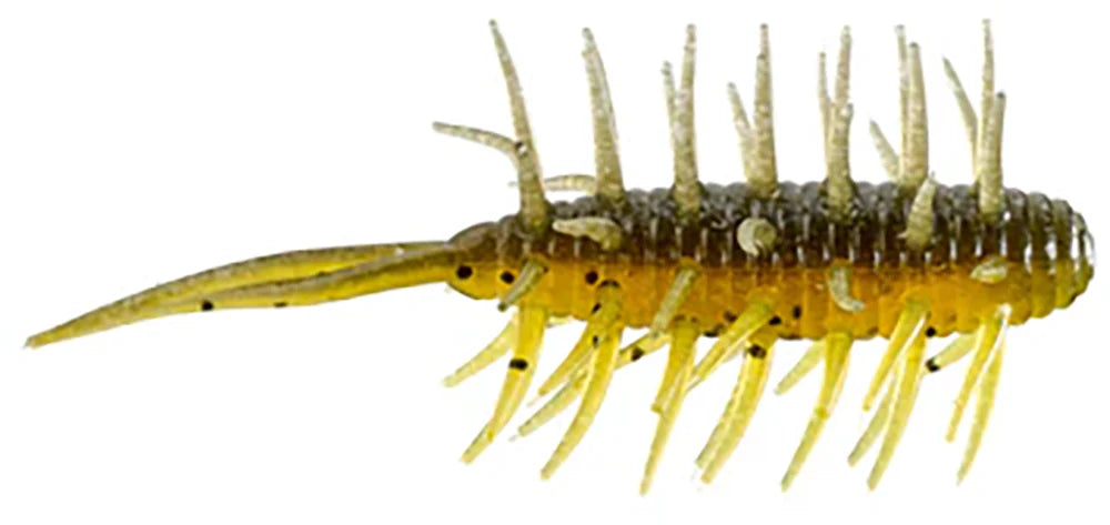 HIDEUP Coike Medium Shrimp 3 Inch