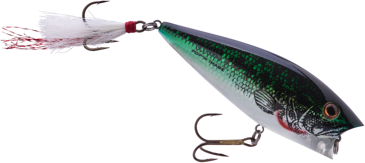 Heddon Popn Image 3 inch Topwater Popper