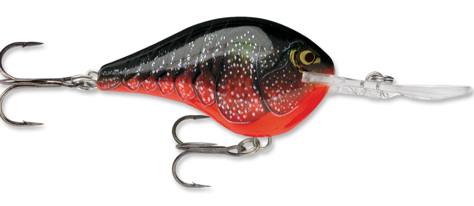 Rapala DT Series Crankbait DT10