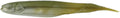 Missile Baits Freedom Flyer Minnow Bait 6 Inch