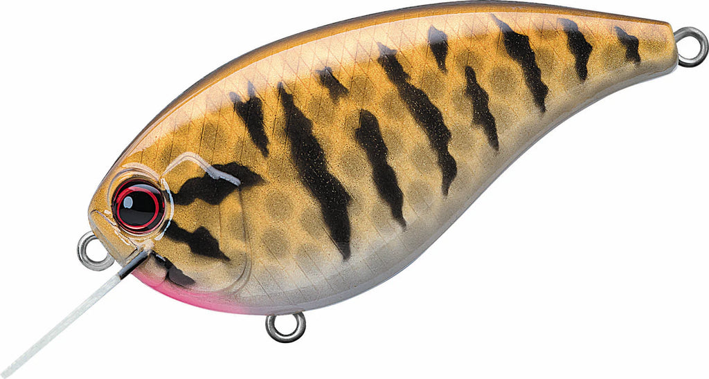 Evergreen International Flat Force 4 Flat Sided Shallow Diving Crankbait