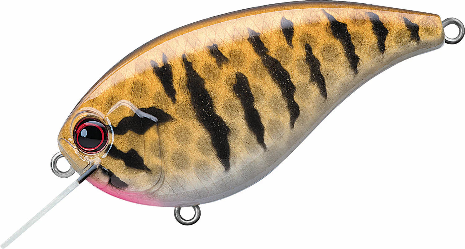 Evergreen International Flat Force 4 Flat Sided Shallow Diving Crankbait