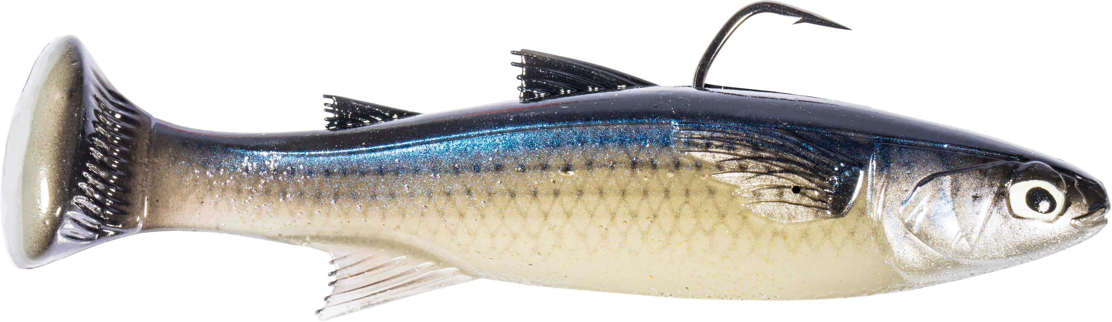 Z Man Mulletron Line Through Moderate Sinking Swimbaits