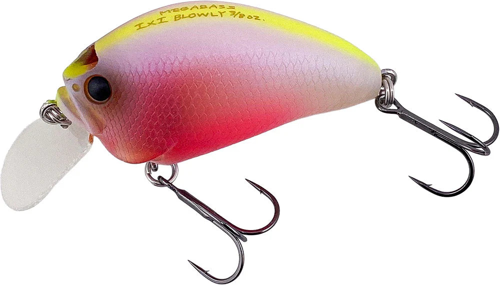 Megabass Respect Series Baby Kingyo December 2025 Release