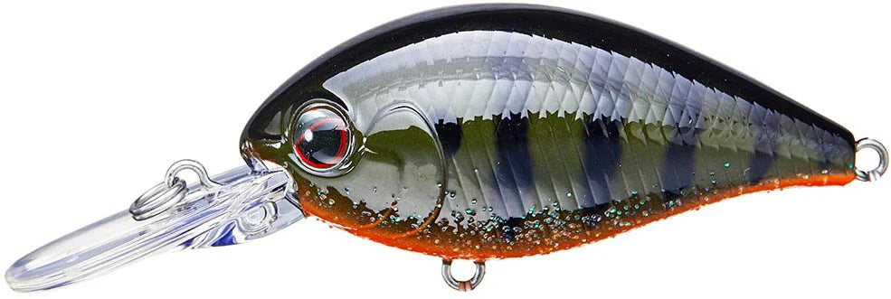 Evergreen International CR 8 Medium Diving Crankbait