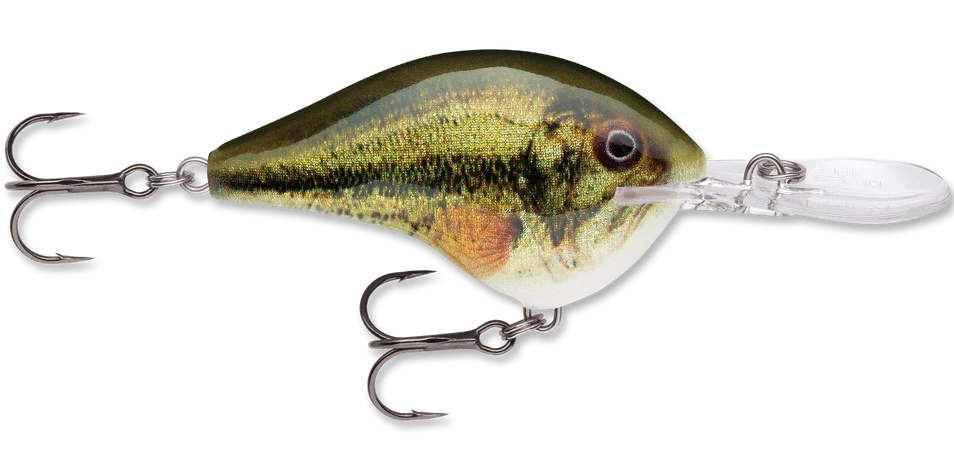 Rapala DT Series Crankbait DT10