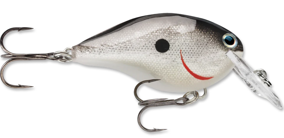 Rapala DT Series Crankbait DT4