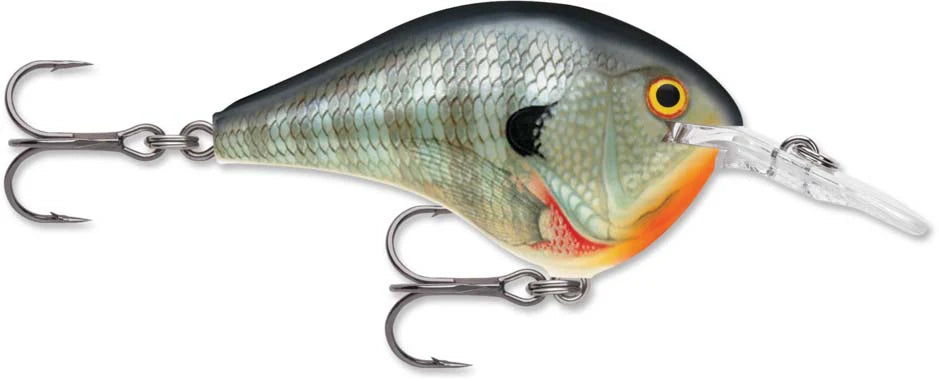 Rapala DT Series Crankbait DT6