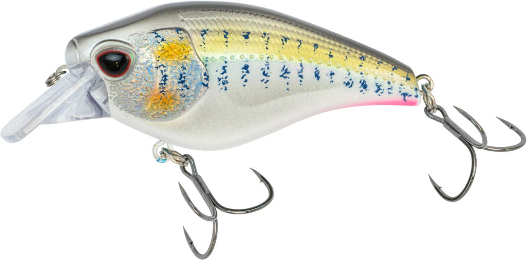 Nomad Design Atlas Squarebill Crankbait