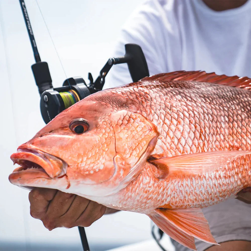 Daiwa Saltiga 15 Conventional Jigging Reel