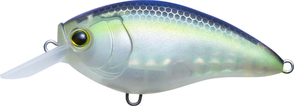 Yo Zuri 3DR X Shallow Runner SR Crankbait 50mm 2 Inch