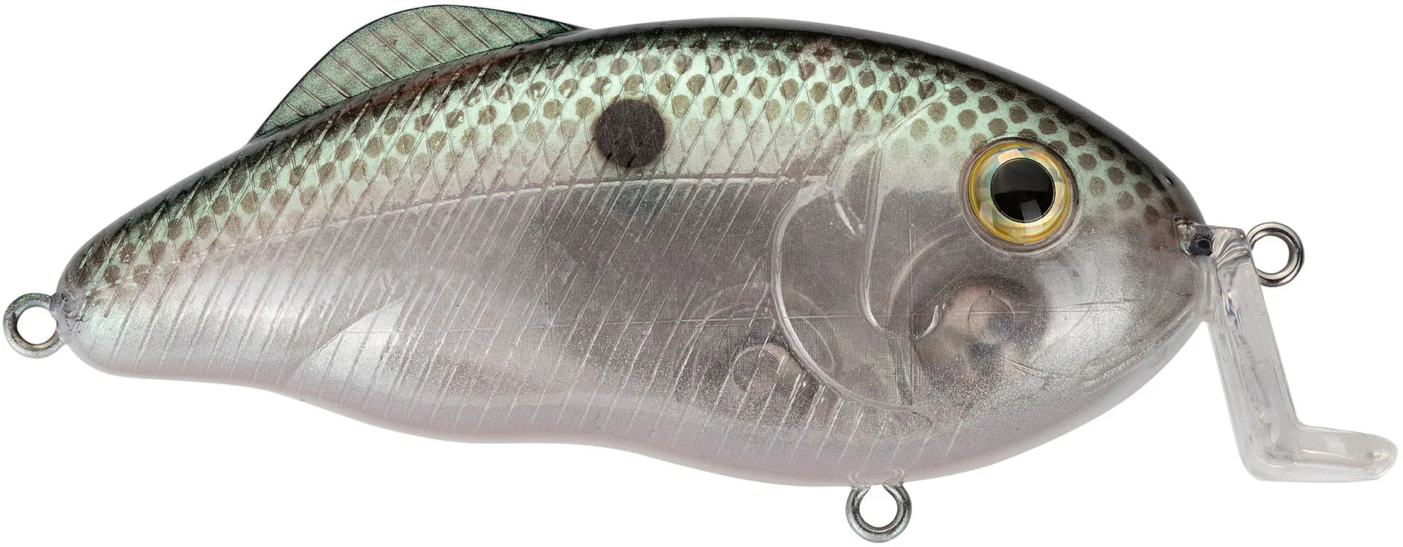 Strike King Hybrid Hunter Shallow Crankbait