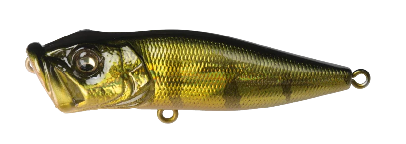 Megabass Pop X Topwater Popper