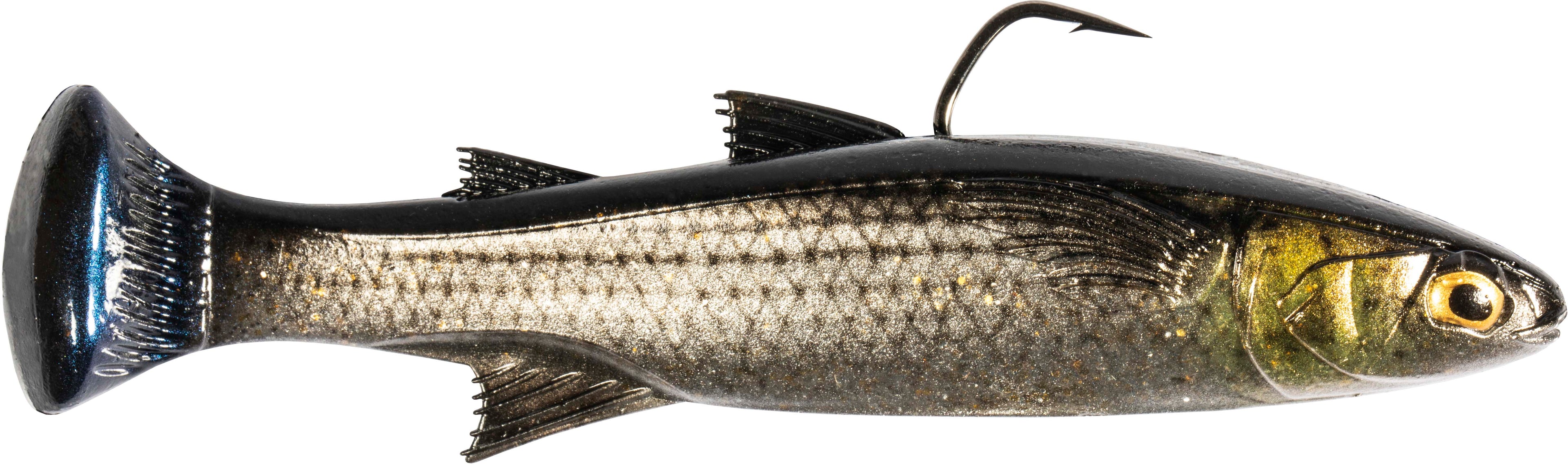 Z Man Mulletron Line Through Moderate Sinking Swimbaits