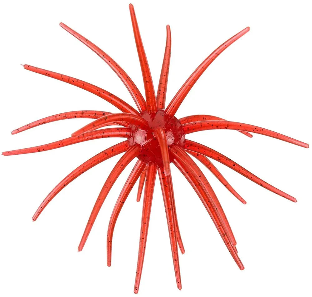 Hags Baits Prickly Pear 19mm