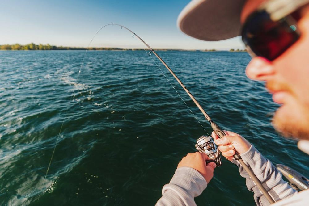Abu Garcia Zenon Spinning Rod