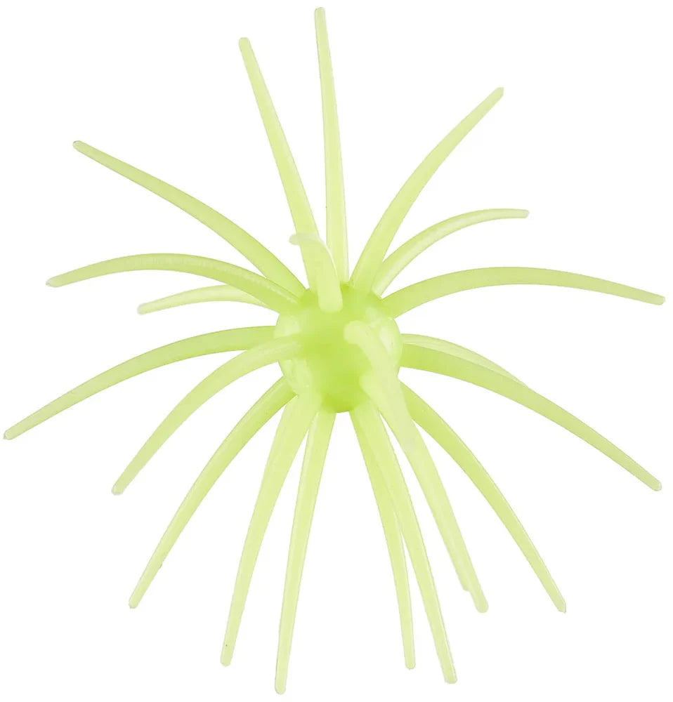 Hags Baits Prickly Pear 19mm