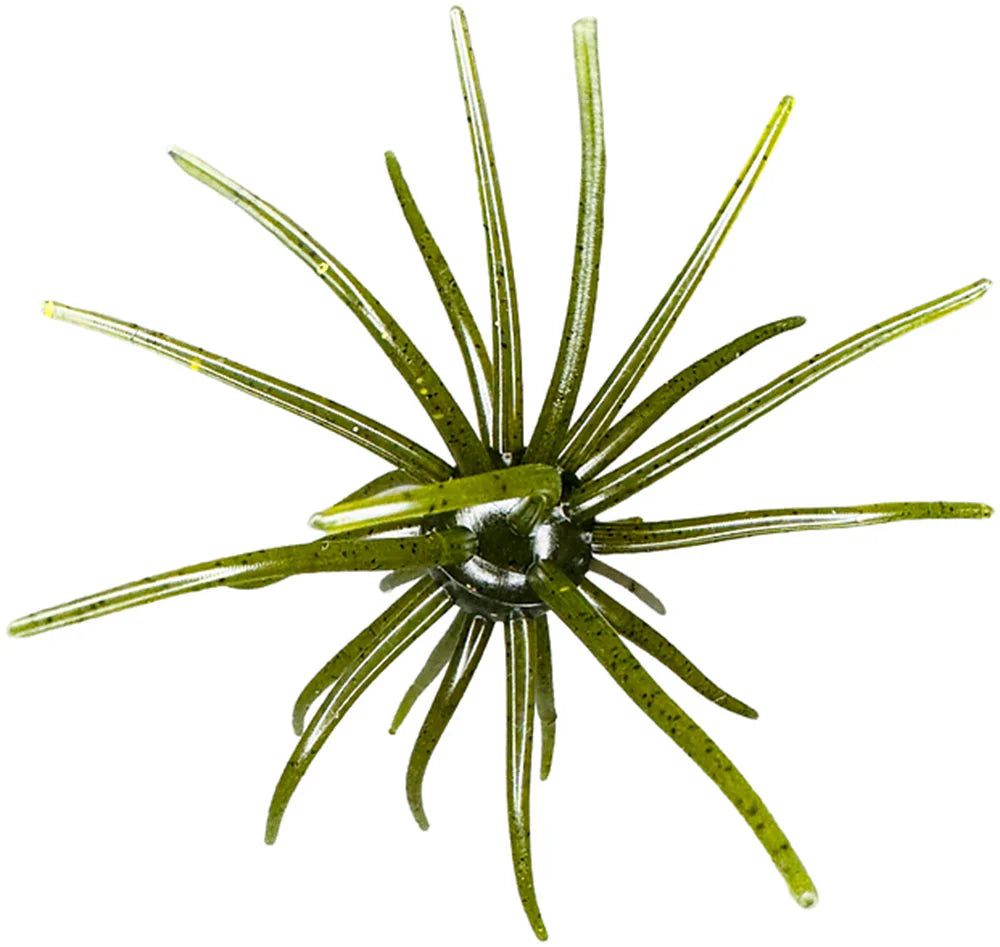 Hags Baits Prickly Pear 19mm