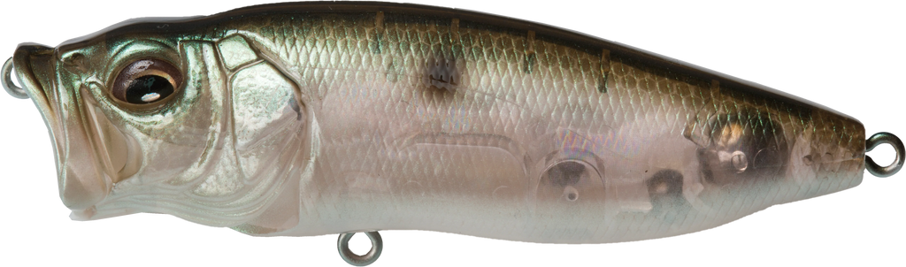 Megabass PopMax Topwater Popper