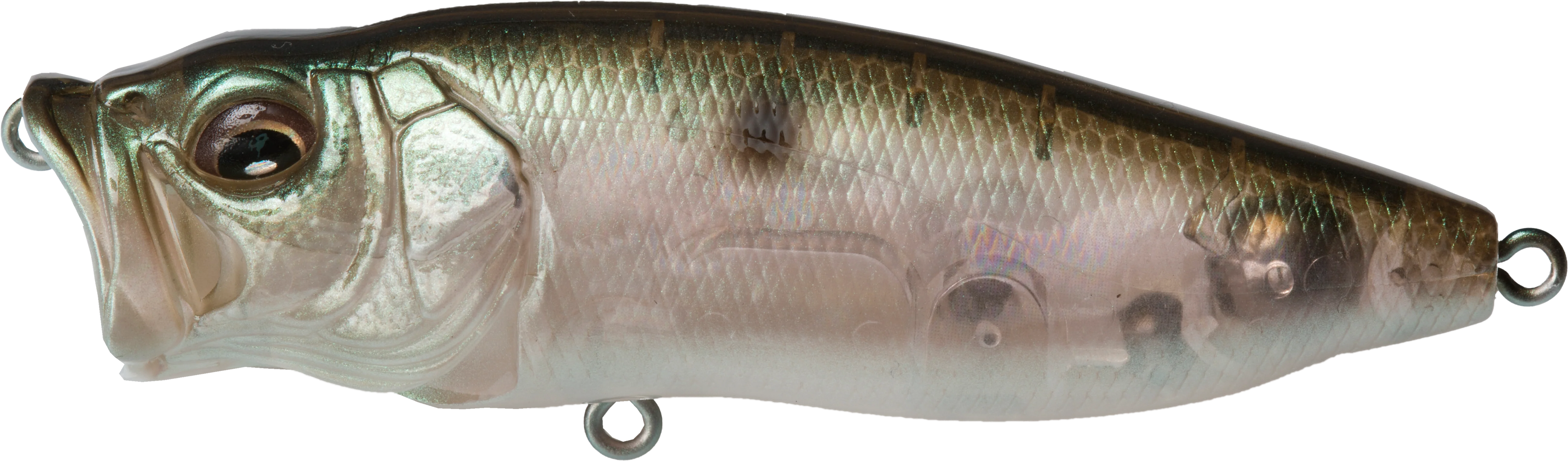 Megabass PopMax Topwater Popper