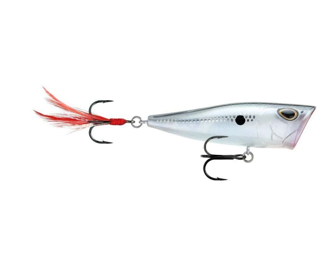 Storm Arashi Cover Pop 3 1 8 inch Topwater Popper