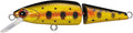 Daiwa DR Minnow Jointed Sinking Jerkbait 2 Inches