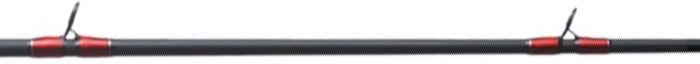 Eagle Claw EC25 Baitcasting Combo