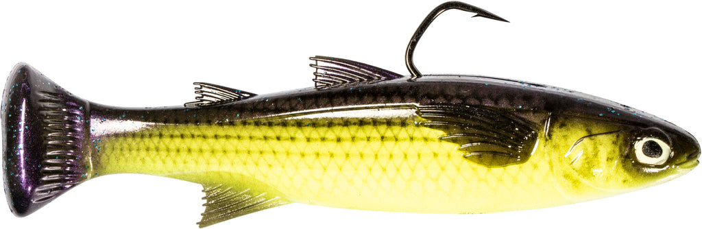 Z Man Mulletron Line Through Moderate Sinking Swimbaits