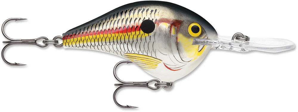 Rapala DT 12 Series Crankbait 225 Inch