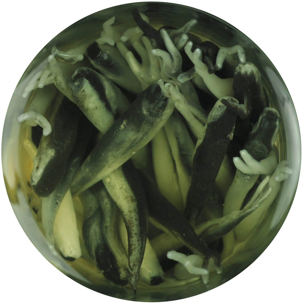 Berkley Gulp Alive 1 inch Minnow 21 oz Jar