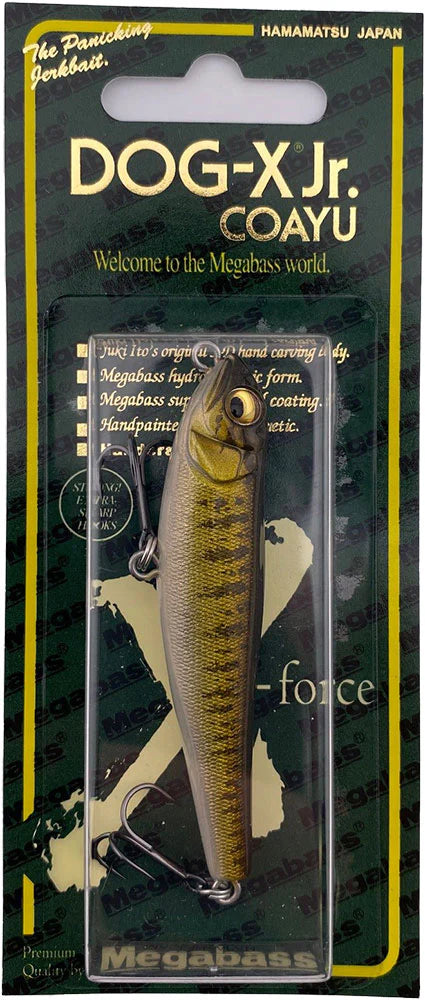 Megabass Dog X JR Coayu BFS