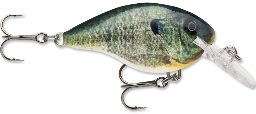 Rapala DT Series Crankbait DT4