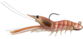 LIVETARGET Fleeing Shrimp