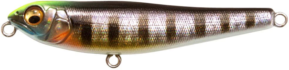 Megabass Dog X JR Coayu BFS