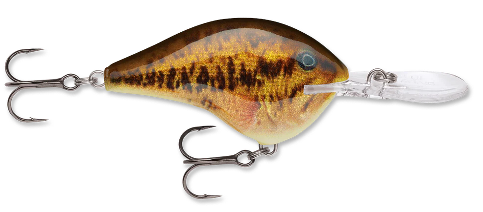 Rapala DT Series Crankbait DT10