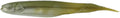 Missile Baits Freedom Flyer Minnow 425 Inch