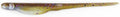 X Zone Pro Series Whiplash Shad 6 Inch