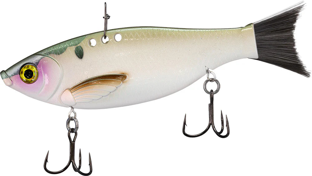 Bill Lewis Big Gizz 6 Inch