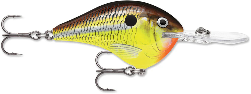 Rapala DT 12 Series Crankbait 225 Inch