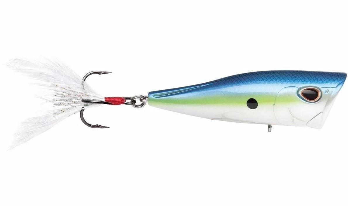 Storm Arashi Cover Pop 3 1 8 inch Topwater Popper
