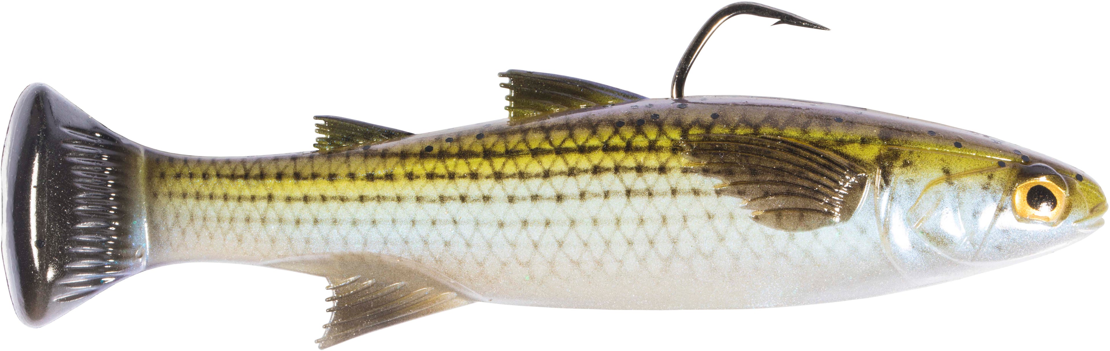 Z Man Mulletron Line Through Moderate Sinking Swimbaits