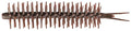 HIDEUP Coike Straight Elastomer Worm 433 Inch